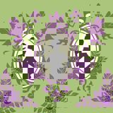 Stor ståhei for en midtsommernatts drøm og ellers hva du vil